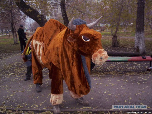 Матадор была изнасилована... быком