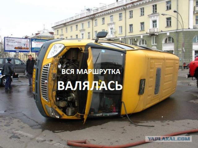 Прикольные картинки 17.06.2017.