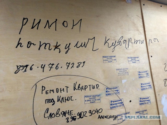 Уровень грамотности просто зашкаливает
