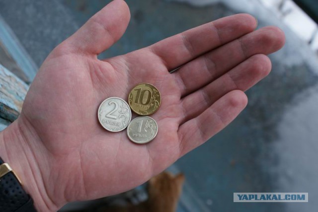 Модель из США продала свою девственность за 2,5 млн. евро