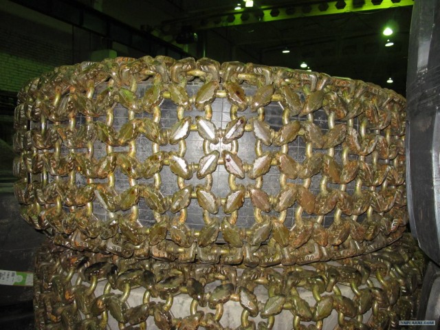 Дальнобойщики изумились предложению Медведева