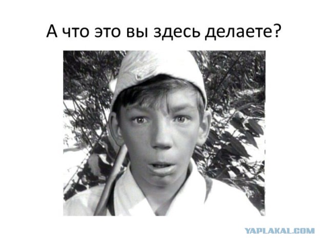 Китайские WAGO