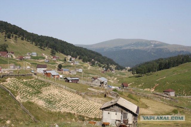 Вы находитесь в Грузии, если...