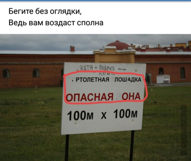 Картинки по-приколу
