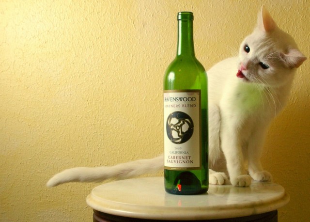 Котопятница: А кто не пьёт? Назови! ))
