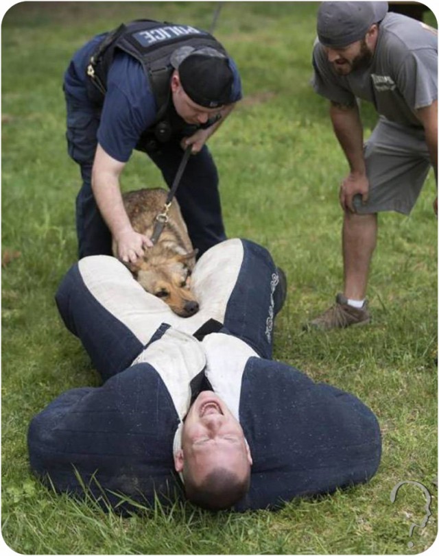 Соцсети - и смех и грех