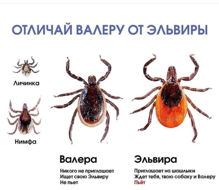 Полные карманы монет! Как мы клад в лесу искали