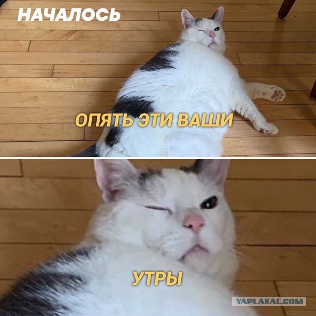 World of Warships - 8