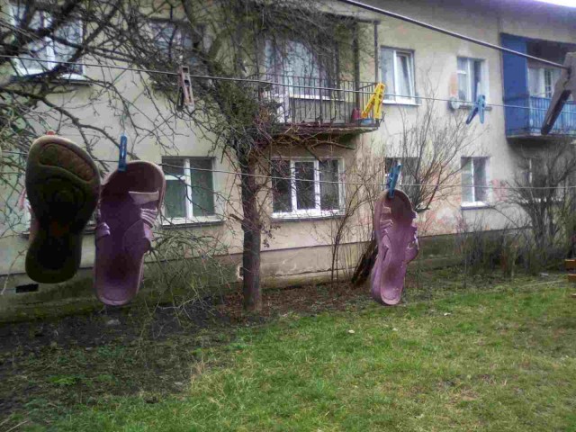 Факты и история в картинках
