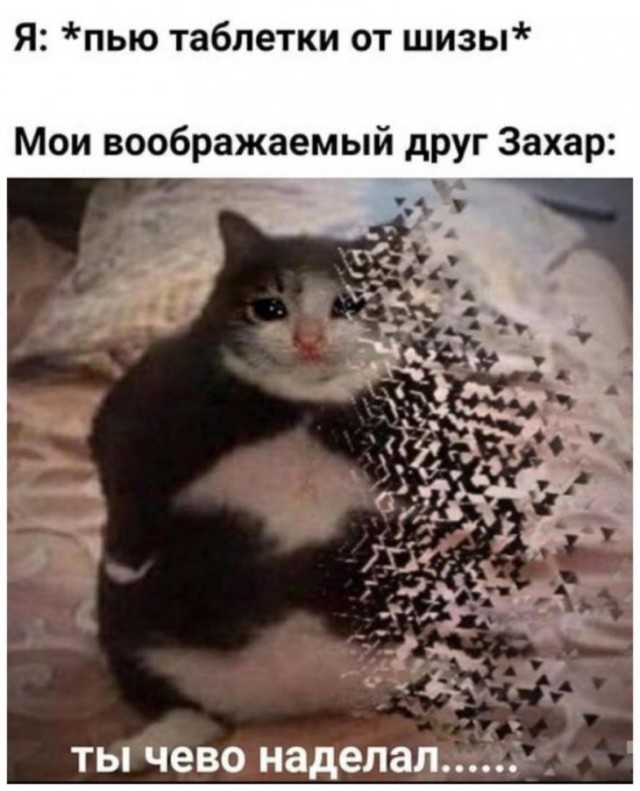 Немного картинок для настроения 20.02.20