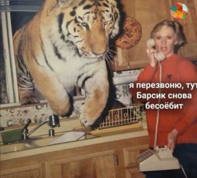 Чуток картинок 31.03.20