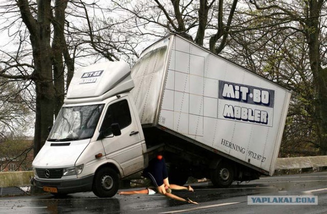 Яблоко не только полезно, но и...