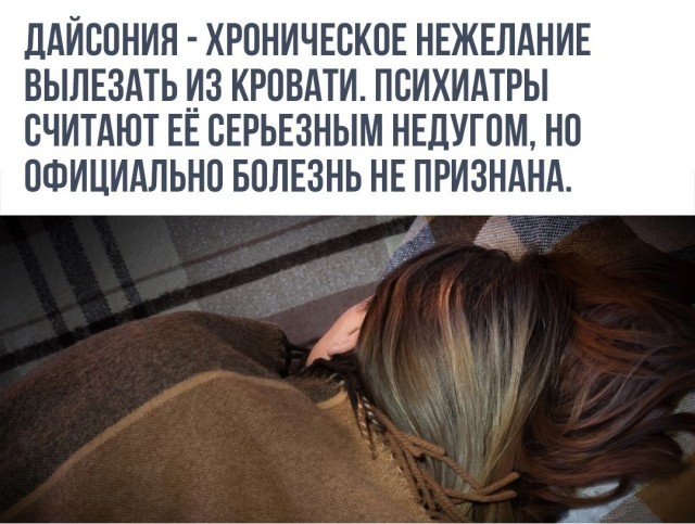Немного картинок для настроения 31.10.20