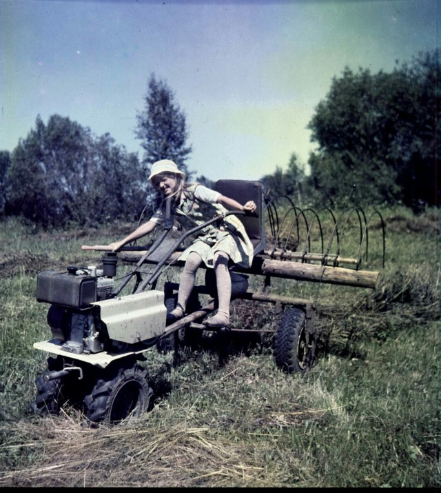 Покос в Сибири, 1986 г.