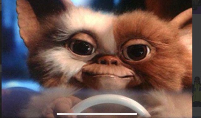Какая милая няшка