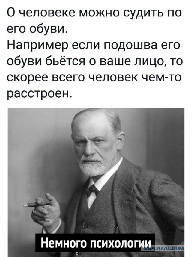 Весёлый полтишок 31.03