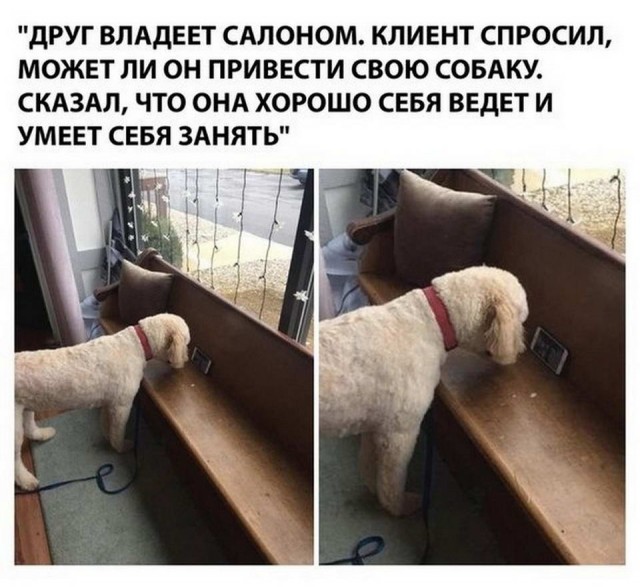 Картинки и мемы для настроения 26.07.2021