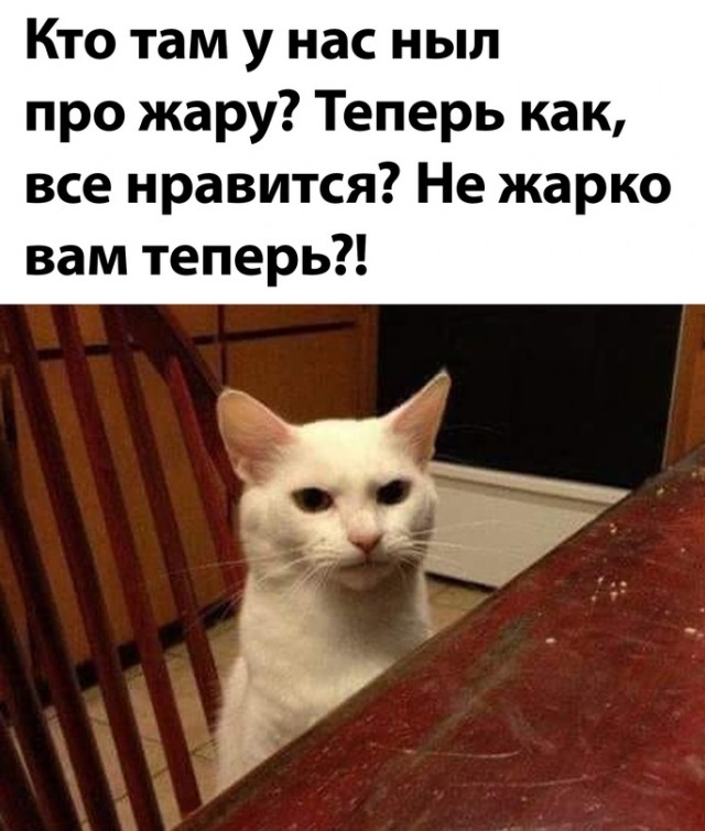Картинки и мемы для настроения 2021.09.07