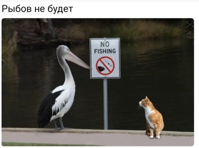 Так себе картинки 25.09.21