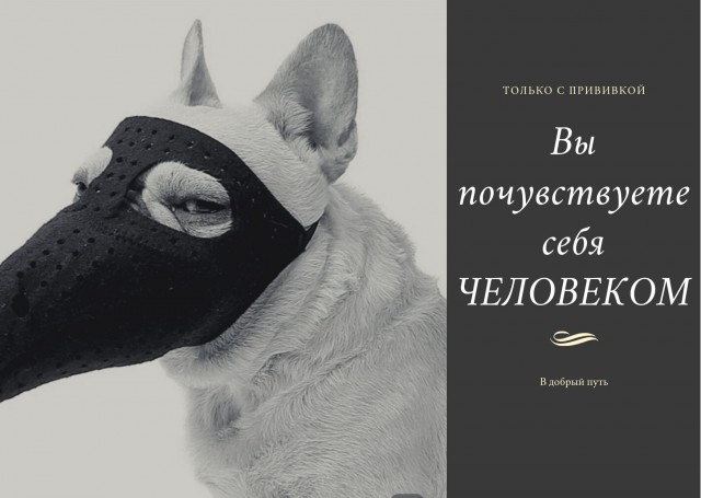 Кремль запланировал перезапустить кампанию по пропаганде вакцинации. Прошлую назвали «слишком агрессивной»