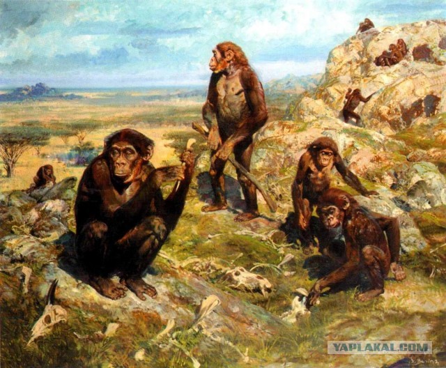 Новое в исторической науке
