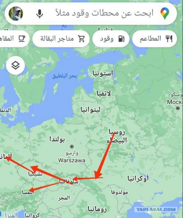 Мигрантам на границе предложили попросить убежища в Беларуси или вернуться домой