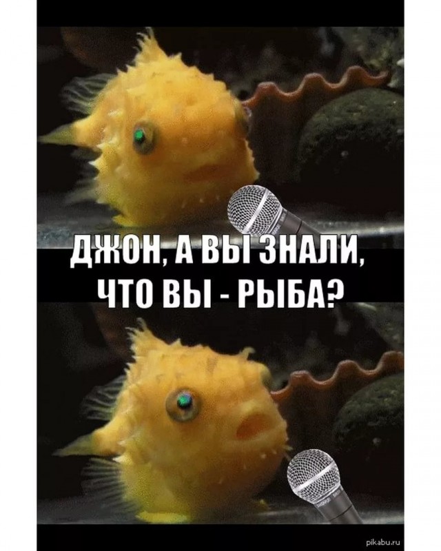 Рыбов, показываю. Красивое