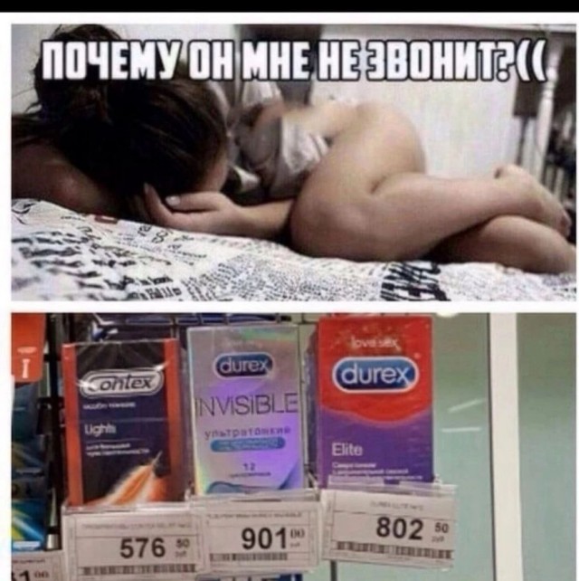 Наши любимки такие смешные