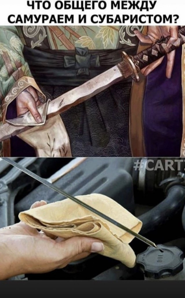 Удачная покупка, да?