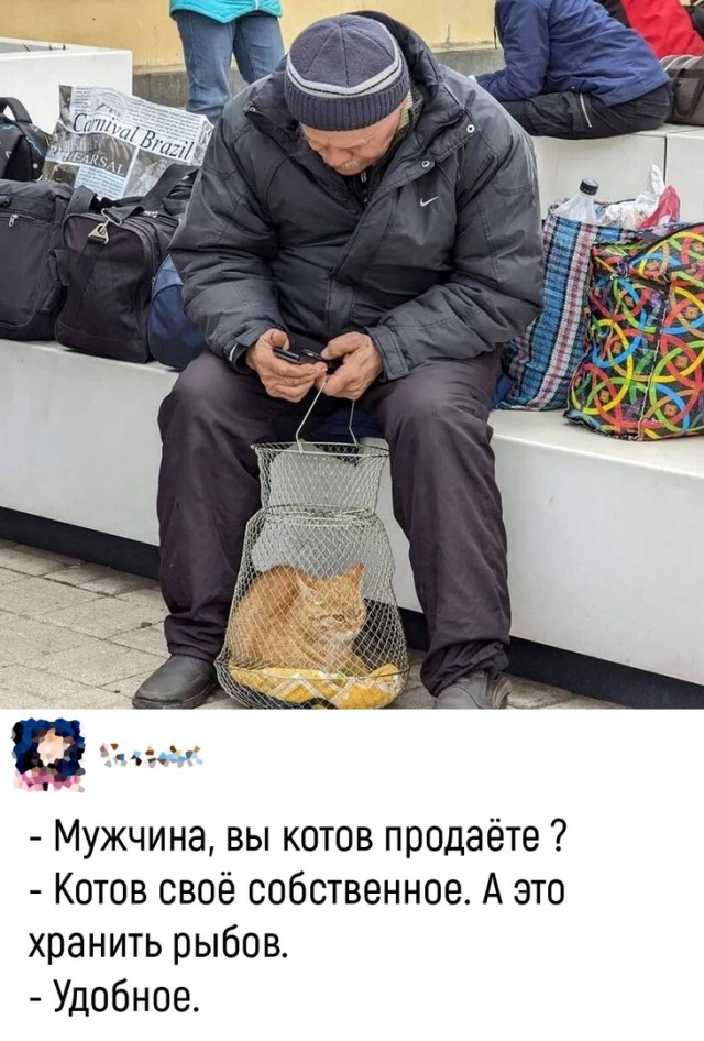 Так себе картинки 10.04.22