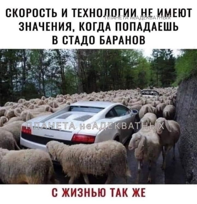 Картинки и мемы для настроения - 17