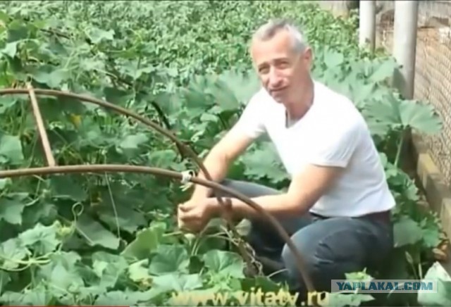 Легенды боя