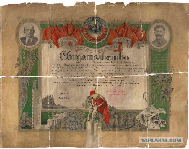 Газета Сын отечества 1895 года на стенках старого сундука