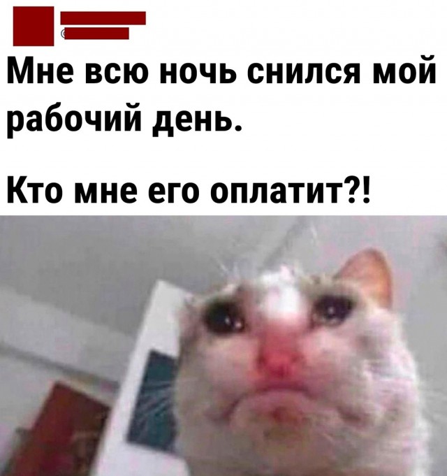 Так себе картинки 03.11.22