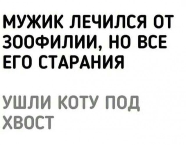 Забавные комментарии из социальных сетей (14.11.22)