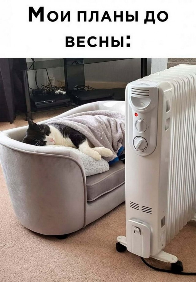 Картинки и мемы, всем хороших выходных