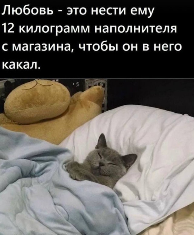 Так себе картинки 26.01.23
