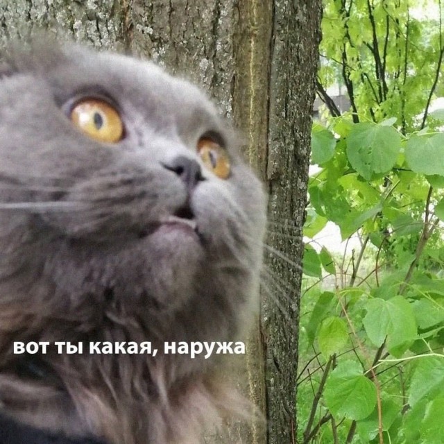 Всего понемногу. Часть 9