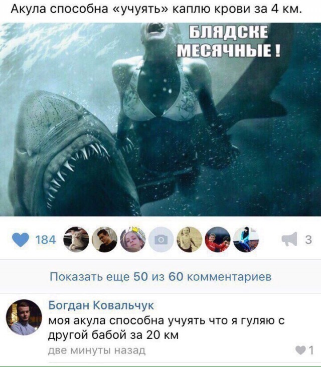 Так себе картинки 24.07.23