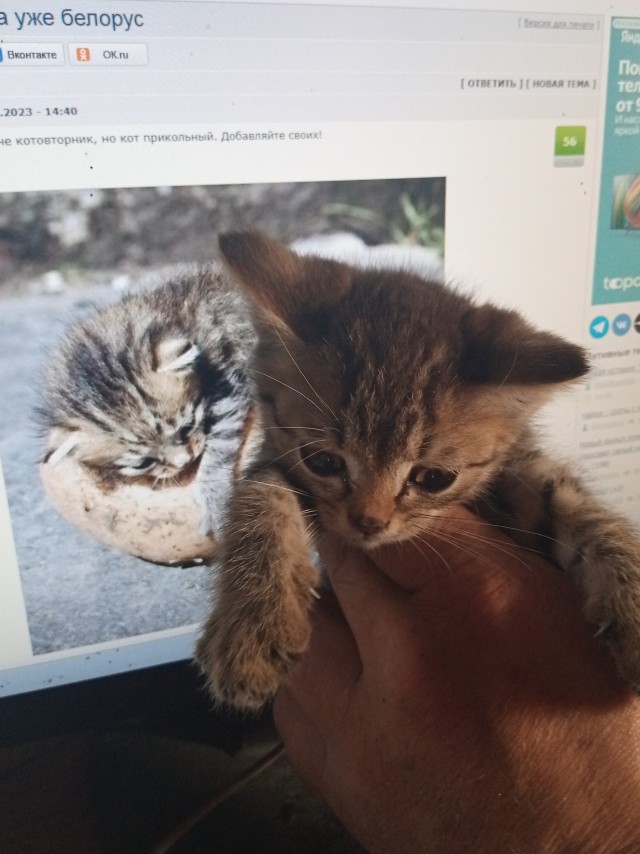 Такой маленький, а уже белорус