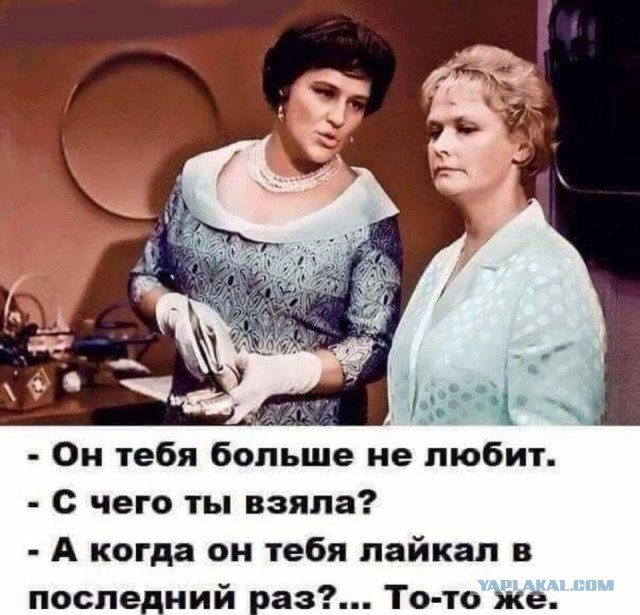 Как быть мужьям, чьи жены - "непьющие алкоголички"?⁠⁠