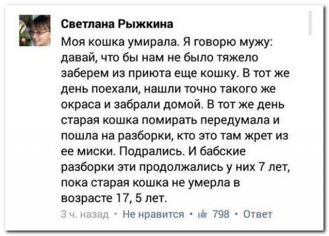 Забавные комментарии из социальных сетей (25.12.23)