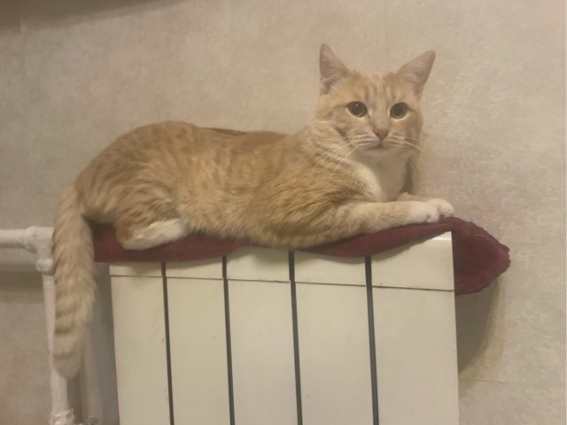 Василий