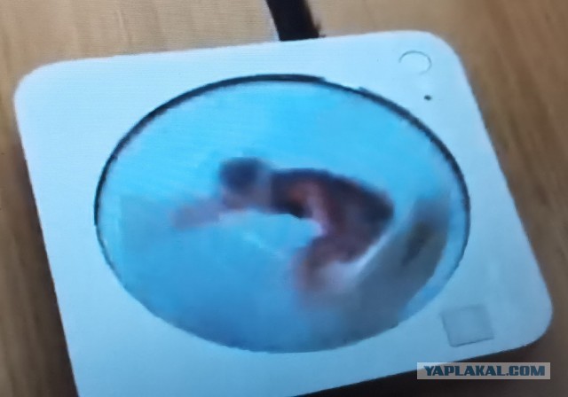 Больше никаких смазанных фотографий: Huawei показали сверхбыструю камеру на своем смартфоне