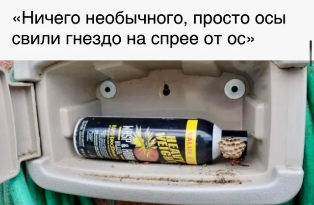 Старался без боянов