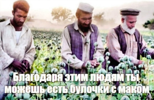 Отряд быстрого деградирования
