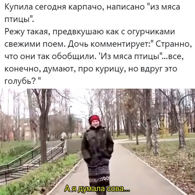 Весёлый полтишок 05.08.24