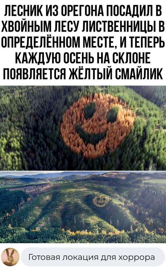 Немного забавных картинок от 11.09.2024