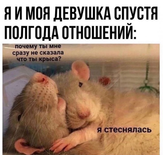 Быстрая деградация