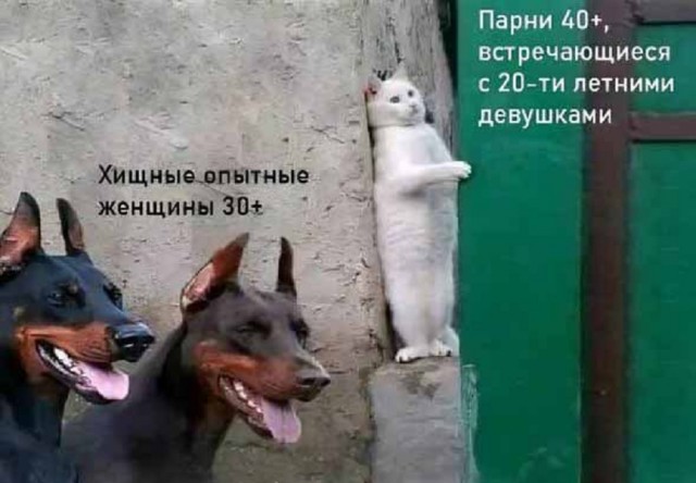Картинки разные с надписями и без